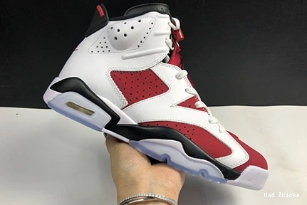 6 Carmine Versatile Retro Jordan 629 384665-106 0905